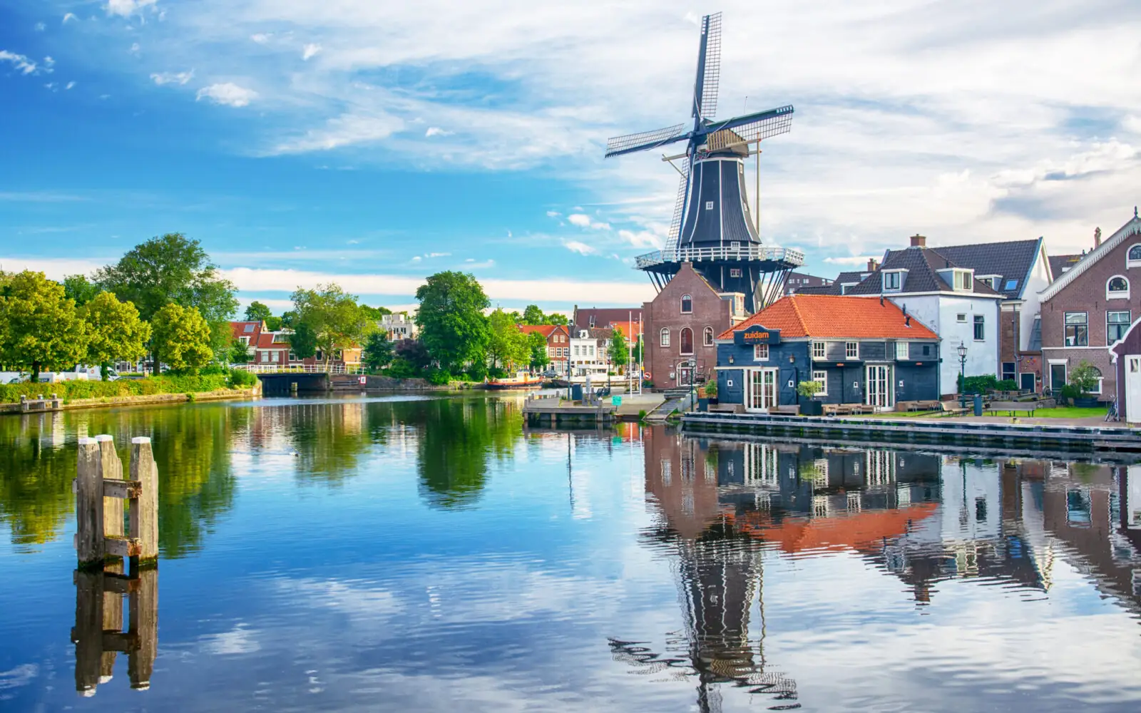 Vixx Haarlem: Mike van Bakel en lokale makelaars